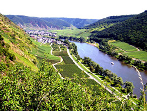 Ortsansicht mit der Weinlage Schwarzenberg